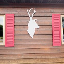 White Stag