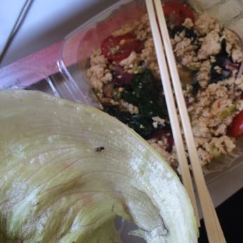 SAGE - Larb Gai with free small live fly for extra protein. - Thai Near Me - Brooklyn, New York SAGE - Larb Gai with free small live fly for extra protein. - Thai Near Me - Brooklyn, New York