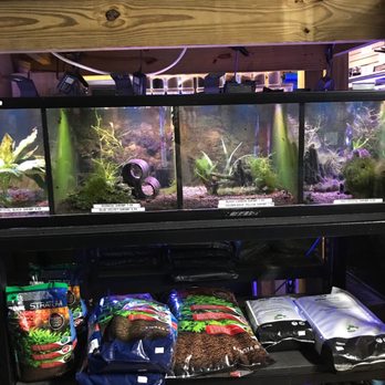 Austin Aqua-Dome - Pet Stores Near Me - Austin, Texas
