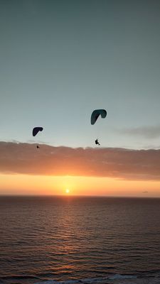 Torrey Pines Gliderport by null