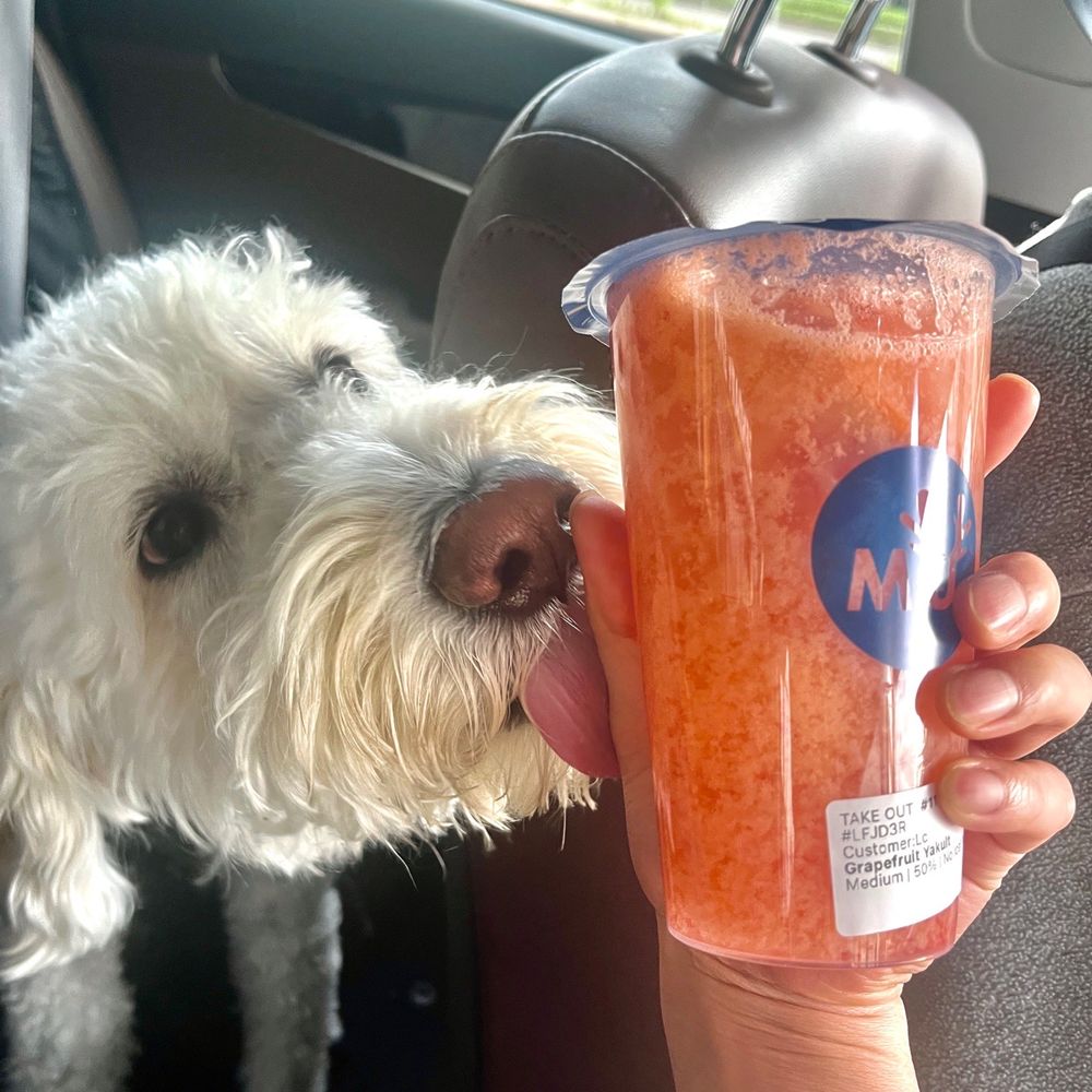 Mu Mu Tea - Guava Yakult - Bubble Tea Near Me - Minneapolis, Minnesota