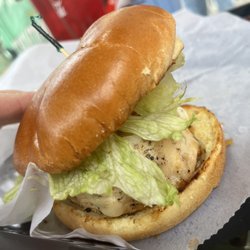 Shanghai Resort - Chicken burger
