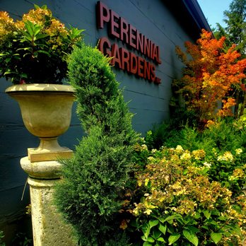 Perennial Gardens - Many items on midsummer sale - 7/31/2025 - Florists Near Me - Bedford, New York