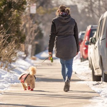 PetsGo Pet Care - Dog Walkers Near Me PetsGo Pet Care - Dog Walkers Near Me