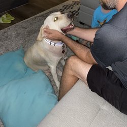 Foothills Humane Society - Our girl, Hattie