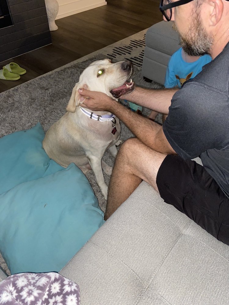 Foothills Humane Society Image