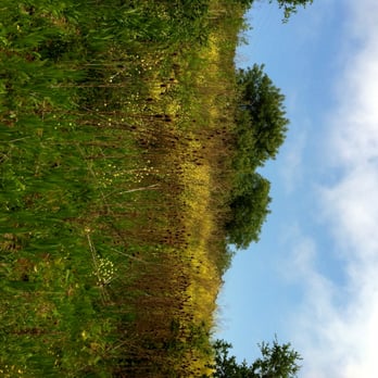 Tilden Regional Park - Parks Near Me - Berkeley, California
