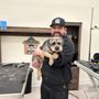 Photo of The Dog Man Shop & Grooming Salon