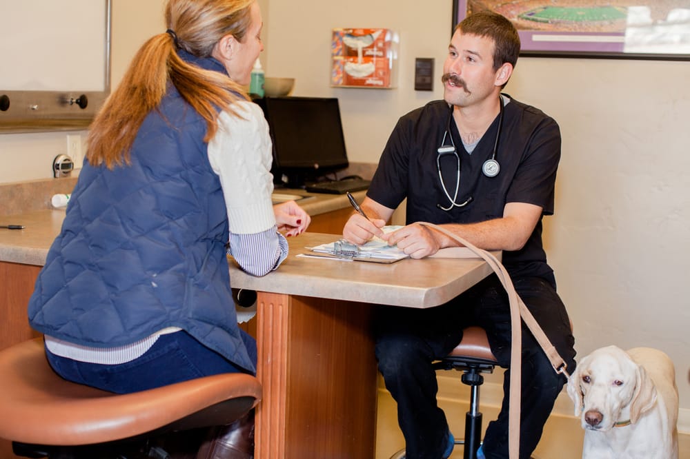 Vail Valley Animal Hospital - Edwards Image