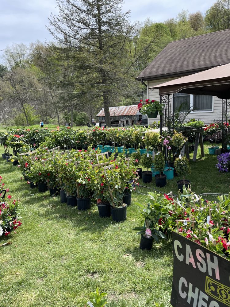 LENIK’S GREENHOUSE Updated September 2024 179 Railroad St,