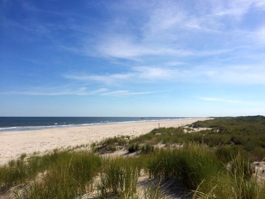Cape May National Wildlife Refuge by null