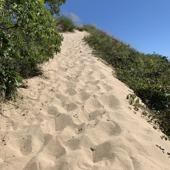 Indiana Dunes State Park - Parks Near Me - Chesterton, Indiana Indiana Dunes State Park - Parks Near Me - Chesterton, Indiana