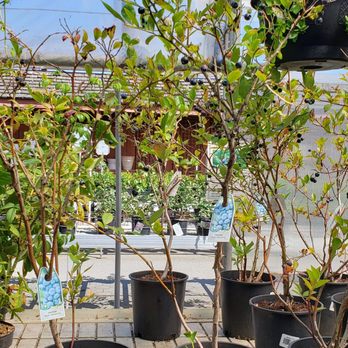 Devan Greenhouses - Nurseries & Gardening Near Me - Abbotsford, British Columbia Devan Greenhouses - Nurseries & Gardening Near Me - Abbotsford, British Columbia
