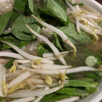 Pho 79 - Pinecrest - Special beef pho - Vietnamese Near Me - Pinecrest, Florida