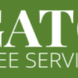 Gator Tree Service - untitled