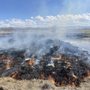 Photo of Firebreak Management