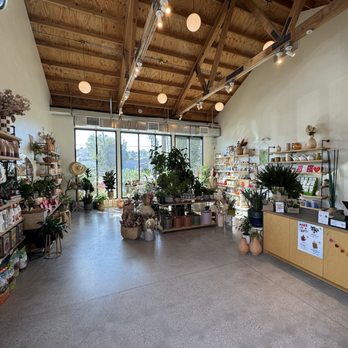 Creature's Plants and Coffee - Coffee & Tea Near Me - Los Angeles, California Creature's Plants and Coffee - Coffee & Tea Near Me - Los Angeles, California