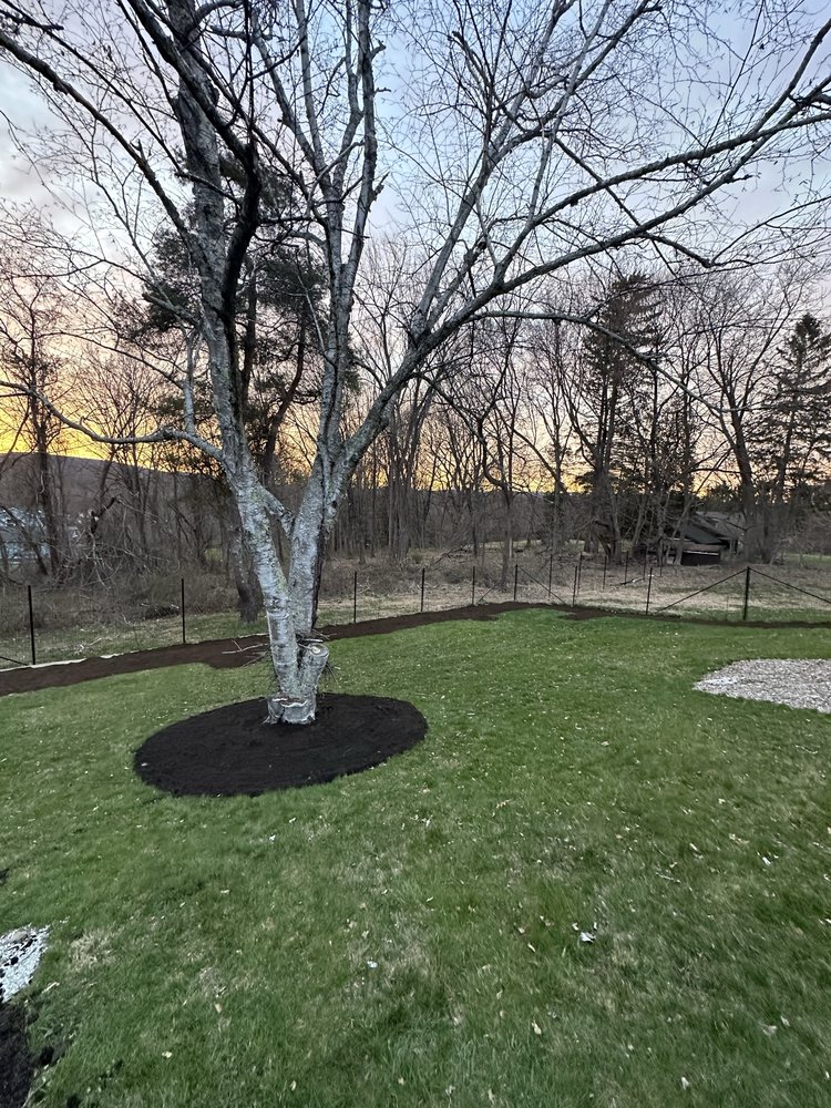 P&J LANDSCAPING AND TREE SERVICE Updated October 2024 48 Denver Rd, Kingston, New York