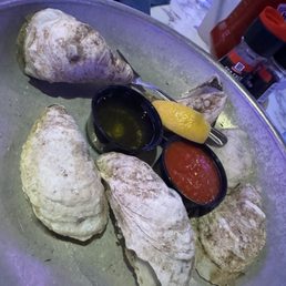 Oysters Oysters
