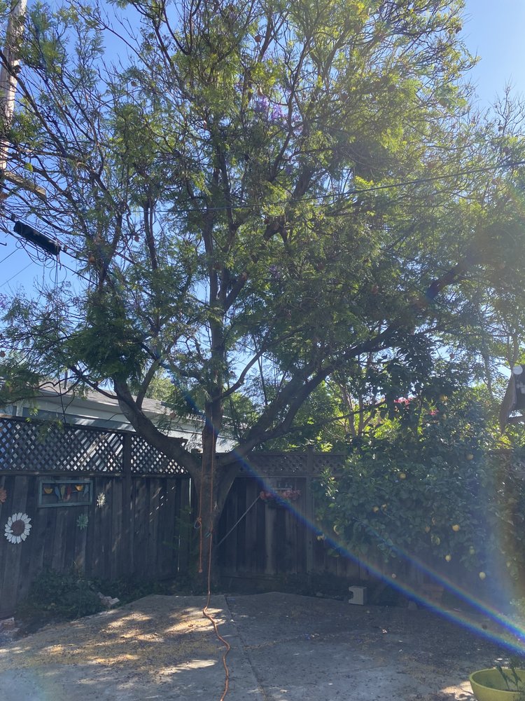 Slide of Ramirez Tree Service 