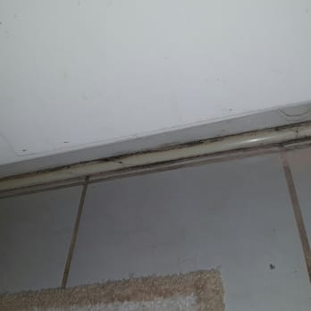Absolute Home Cleaning Services - And they supposedly mop the floor? - Home Cleaning Near Me - Valley Glen, California Absolute Home Cleaning Services - And they supposedly mop the floor? - Home Cleaning Near Me - Valley Glen, California