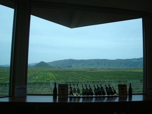 Edna Valley Vineyard by null