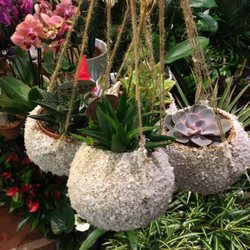 I Fiori della Signoria - Decorative Succulent