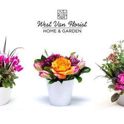 West Van Florist Home & Garden