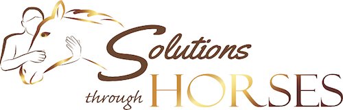 Solutions Through Horses Equine Therapy - grief counselor in Rancho Santa Fe, CA