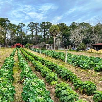 Cahill's Market - Salad Near Me - Bluffton, South Carolina Cahill's Market - Salad Near Me - Bluffton, South Carolina