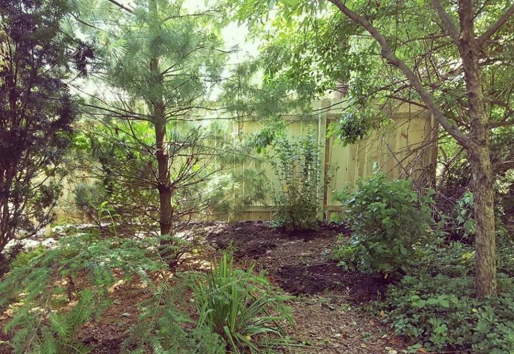 MCCORD LANDSCAPE Updated September 2024 1 McCord Dr, Columbus, Ohio