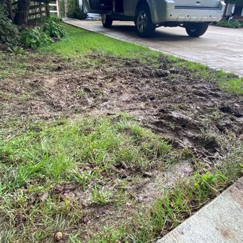 Weed Man - They just threw a bit of seed on top like this was ok... - Pest Control Near Me - Purcellville, Virginia