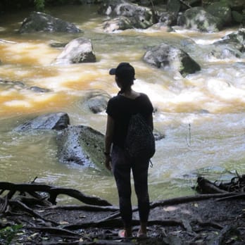 Judd Trail - You can walk through this stream safely! We saw toddlers doing this with life jackets on - Hiking Near Me - Honolulu, Hawaii