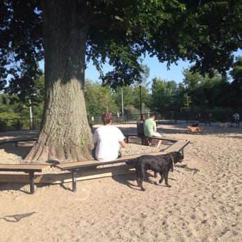 Thorndike Field Dog Park - Dog Parks Near Me - Arlington, Massachusetts