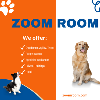 Zoom Room - Pet Stores Near Me - Boynton Beach, Florida Zoom Room - Pet Stores Near Me - Boynton Beach, Florida