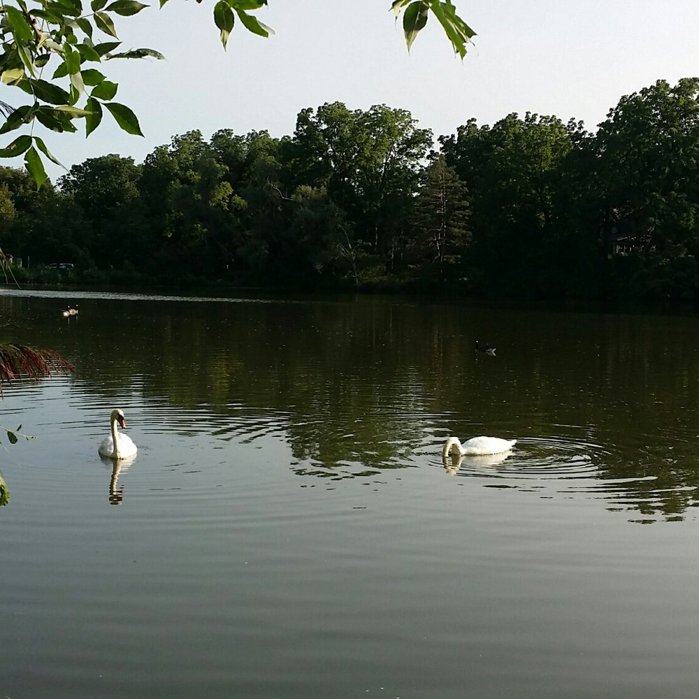 Mill Pond Park - Parks Near Me - Richmond Hill, Ontario Mill Pond Park - Parks Near Me - Richmond Hill, Ontario