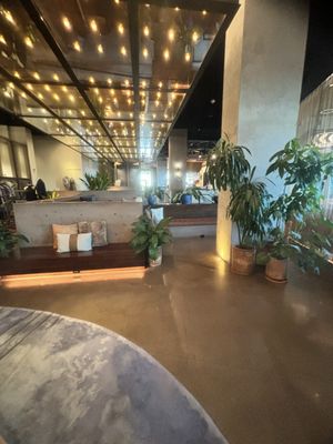 Barista Parlor W Nashville by null