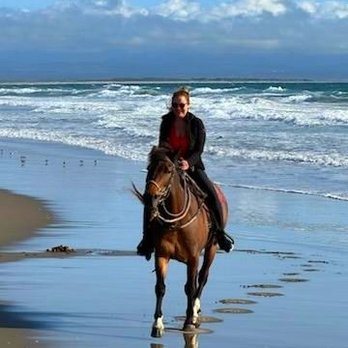 Seahorse Equestrian Tours - Horseback Riding Near Me Seahorse Equestrian Tours - Horseback Riding Near Me