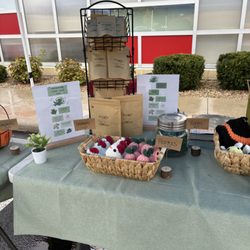 Dendro Divinity - Craft show
