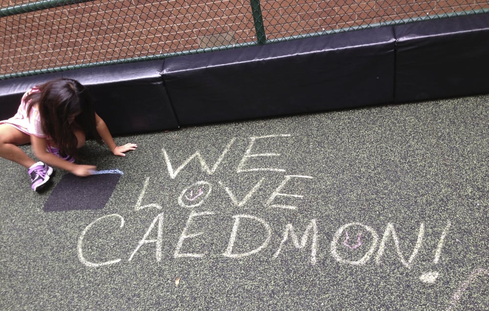 The Caedmon School - childcare center in New York, NY