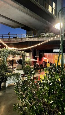 The Standard Plaza by null