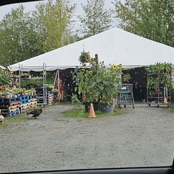 Mossyback Farm