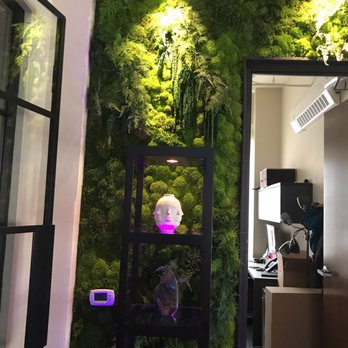 David C. Mabrie, MD - Cosmetic Surgeons Near Me - San Francisco, California David C. Mabrie, MD - Cosmetic Surgeons Near Me - San Francisco, California