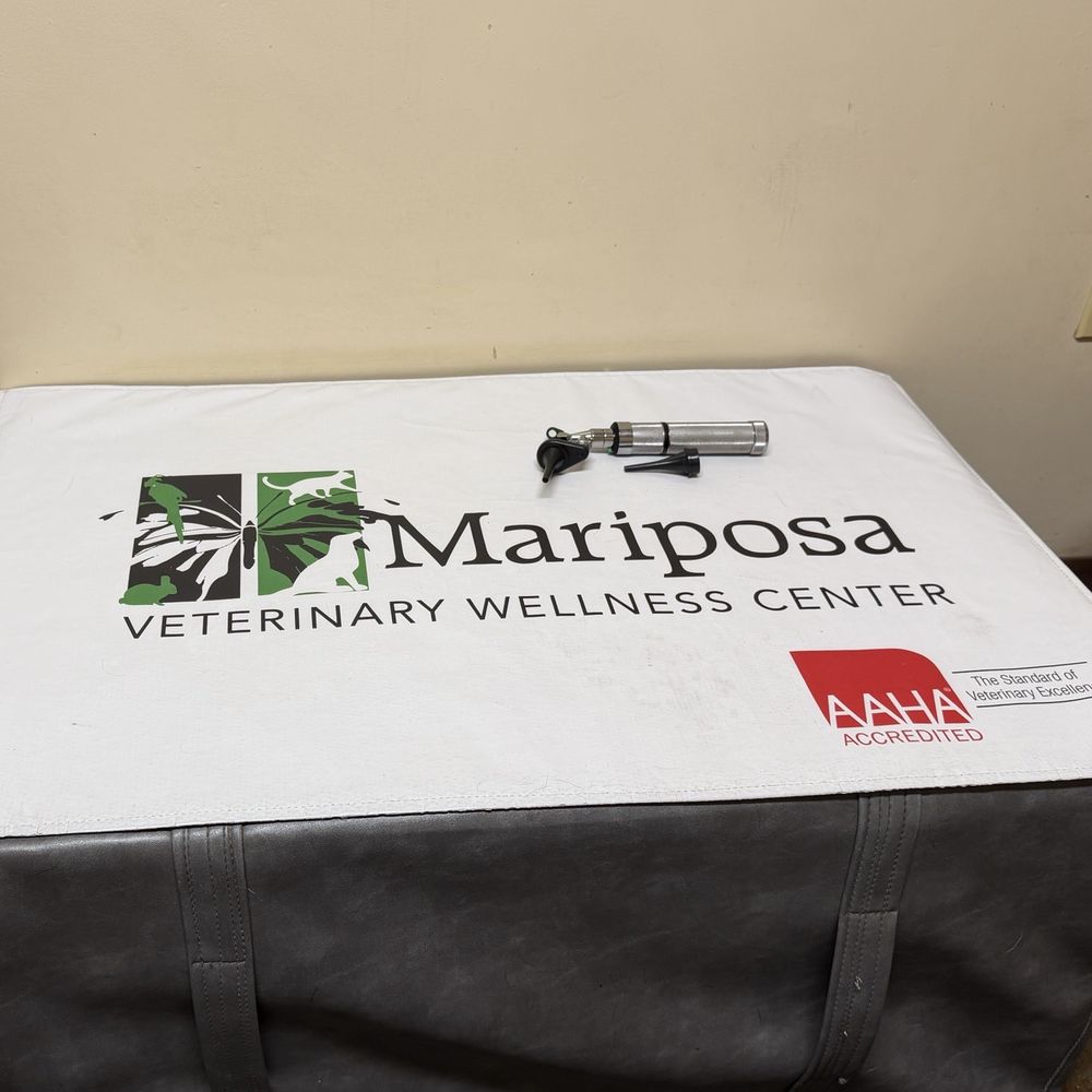 Mariposa Veterinary Wellness Center - Low, safe examination table spaces. - Veterinarians Near Me - Lenexa, Kansas