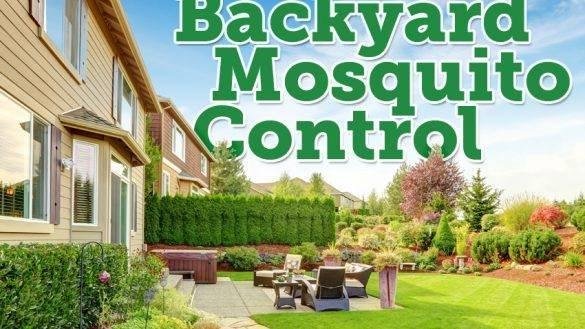 Green Solutions Landcare - tree service in Lexington, KY