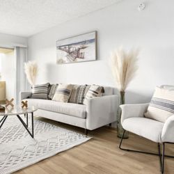Fashion Furniture Rental - living room furniture setup