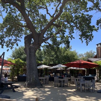 Roblar Winery - Wineries Near Me - Santa Ynez, California Roblar Winery - Wineries Near Me - Santa Ynez, California