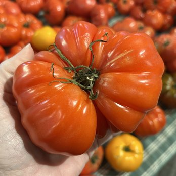Vacchiano Farm - What a beauty - Farmers Market Near Me - Readington, New Jersey Vacchiano Farm - What a beauty - Farmers Market Near Me - Readington, New Jersey