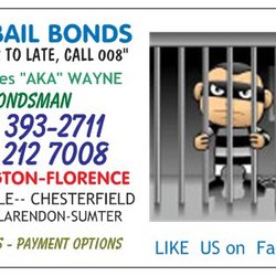 008 Bail Bonds