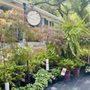 JoJo's Landscape Supplies & more